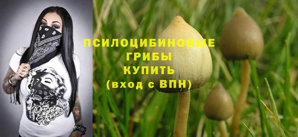 PSILOCYBIN Бугульма